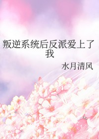 叛逆系统小说